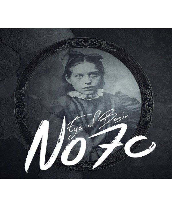 No70: Eye of Basir Steam Key GLOBAL
